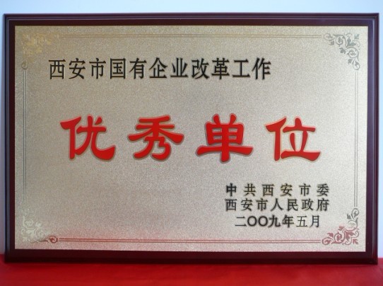 2009年5月，被西安市委、市当驹炖为西安市国企业鼎新工作优良单元